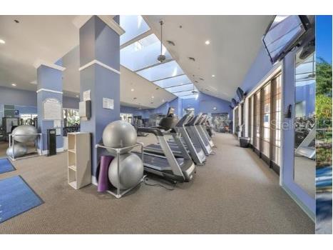 5646 Sunset Falls Drive Apollo Beach FL 33572 TB8505412 image25