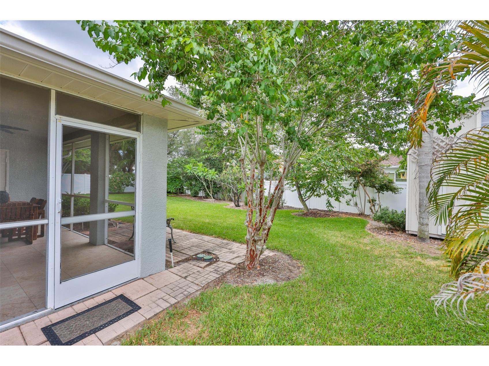 5646 Tughill Drive Tampa FL 33624 TB8515202 image27