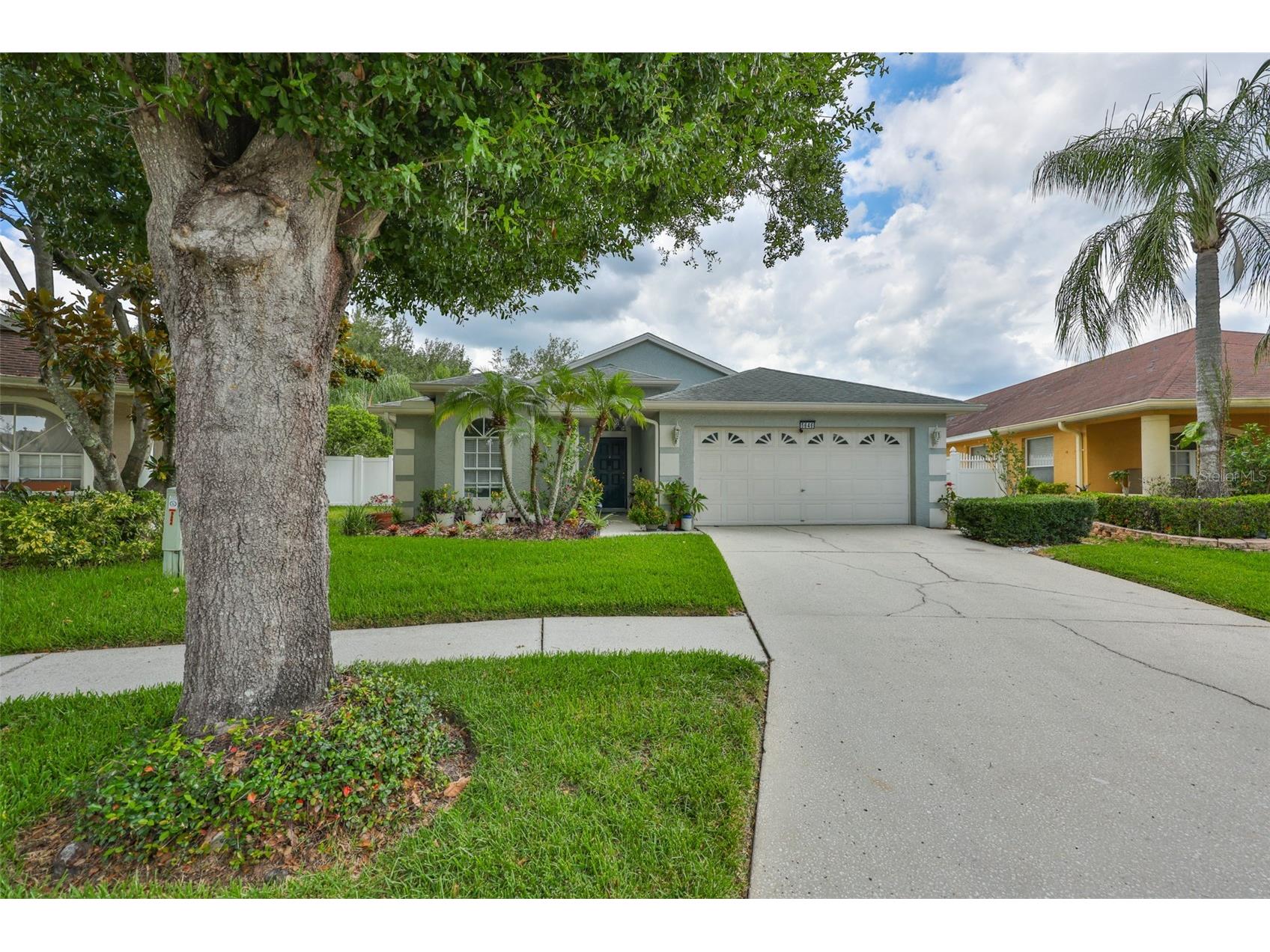 5646 Tughill Drive Tampa FL 33624 TB8515202 image32