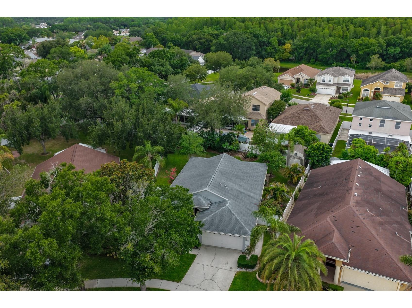 5646 Tughill Drive Tampa FL 33624 TB8515202 image36