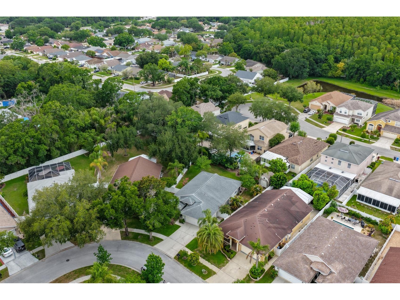5646 Tughill Drive Tampa FL 33624 TB8515202 image37