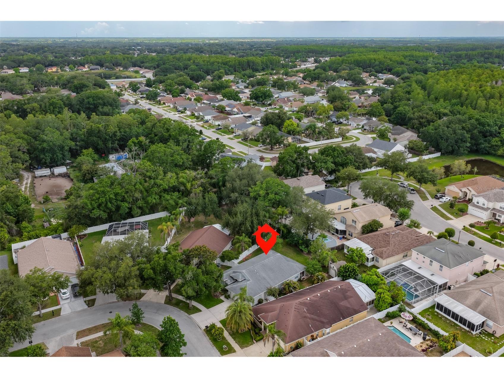 5646 Tughill Drive Tampa FL 33624 TB8515202 image38