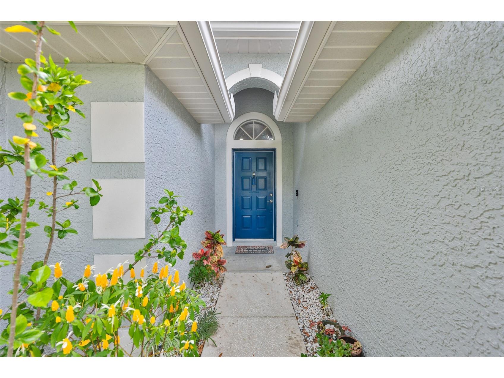 5646 Tughill Drive Tampa FL 33624 TB8515202 image6