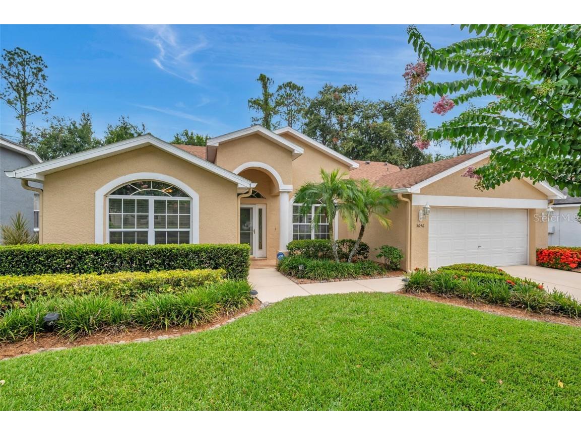 5646 Whitebark Drive Wesley Chapel FL 33543 TB8411056 image1