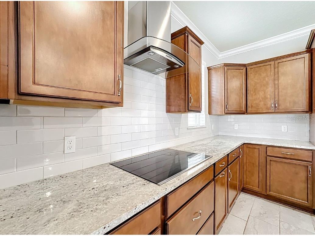 5647 Barletta Drive Saint Cloud FL 34771 O6289373 image17