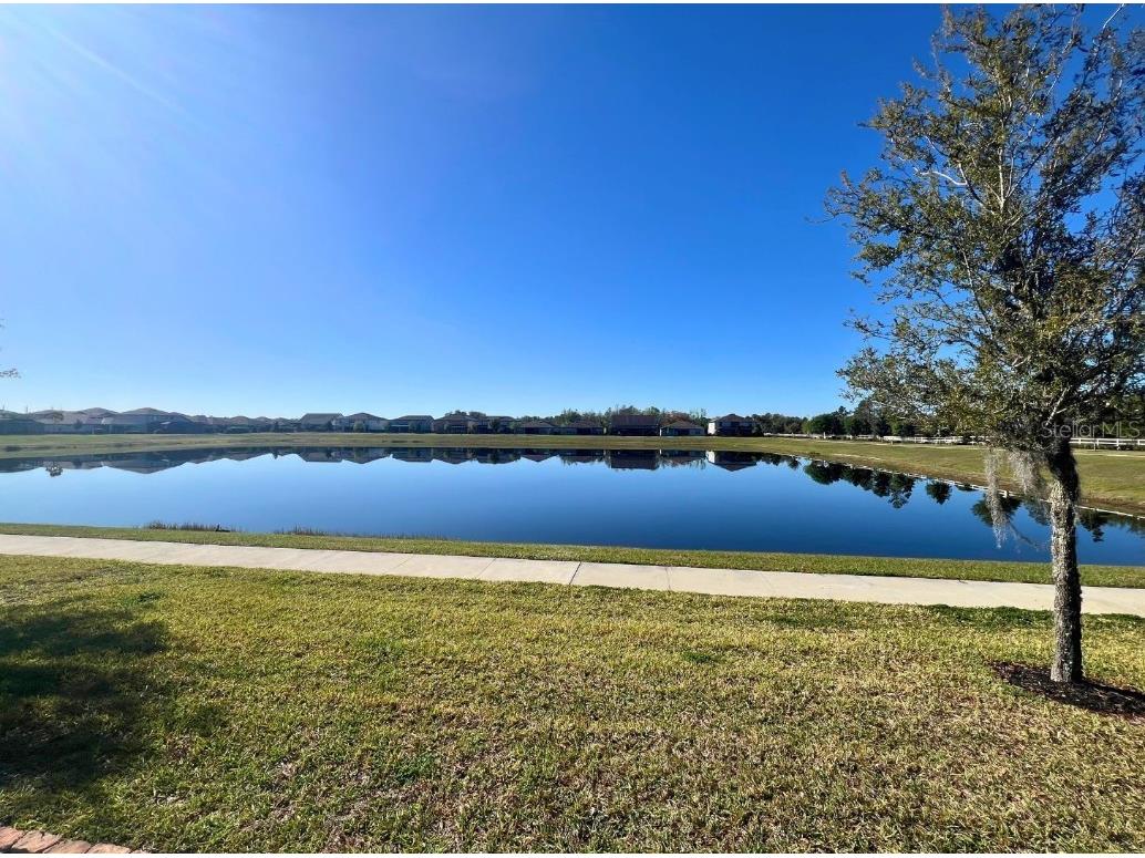 5647 Barletta Drive Saint Cloud FL 34771 O6289373 image42