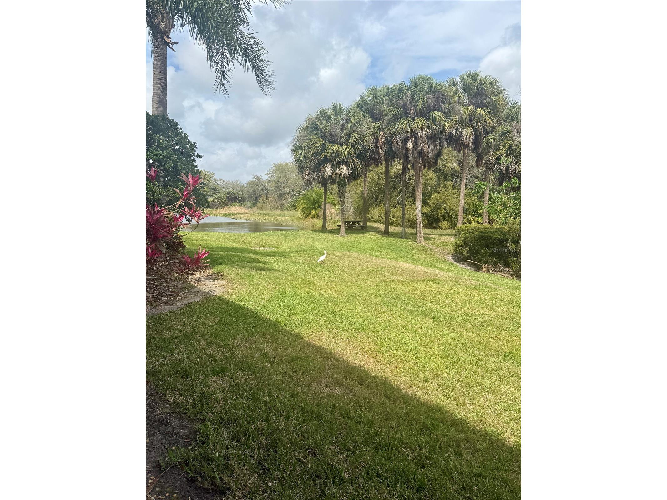5647 Key Largo Court #C-07 Bradenton FL 34203 - BRADEN RIVER A4686072 image19