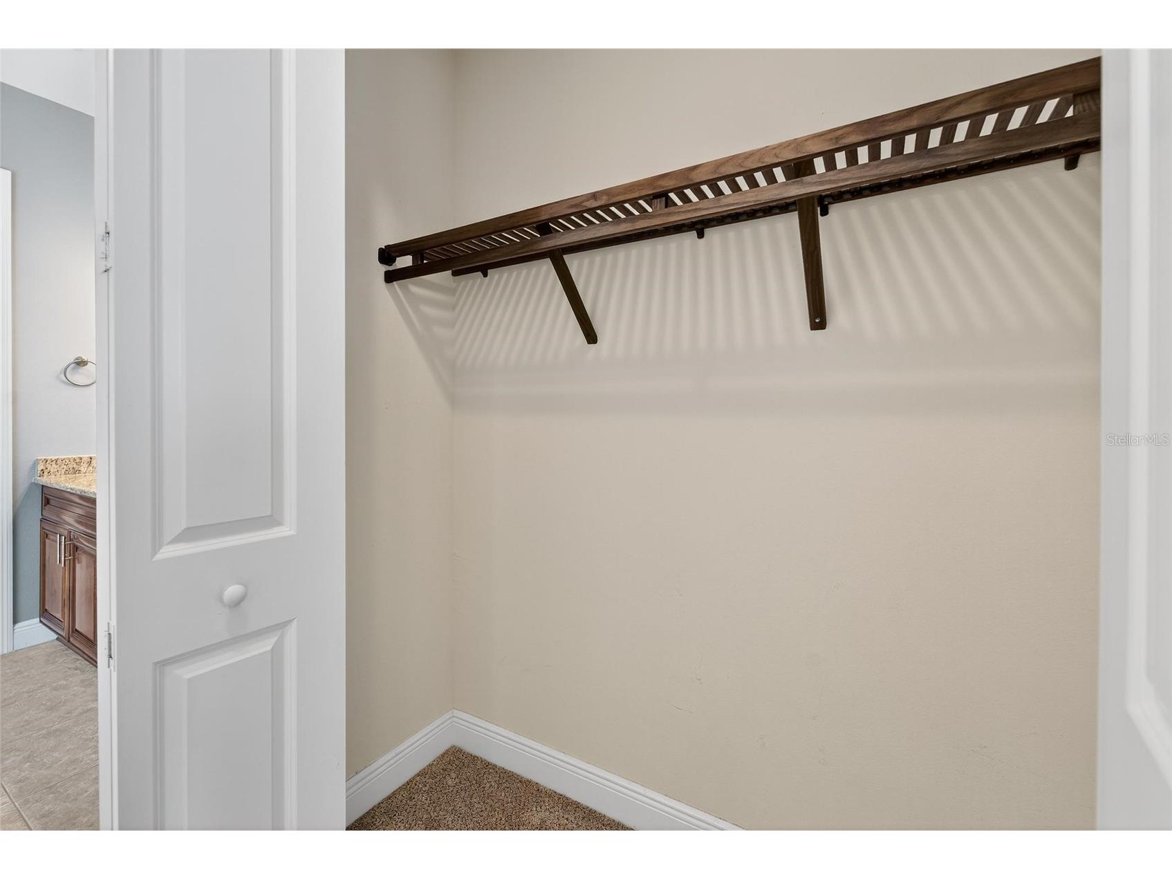 565 Bimini Bay Boulevard Apollo Beach FL 33572 TB8441583 image37