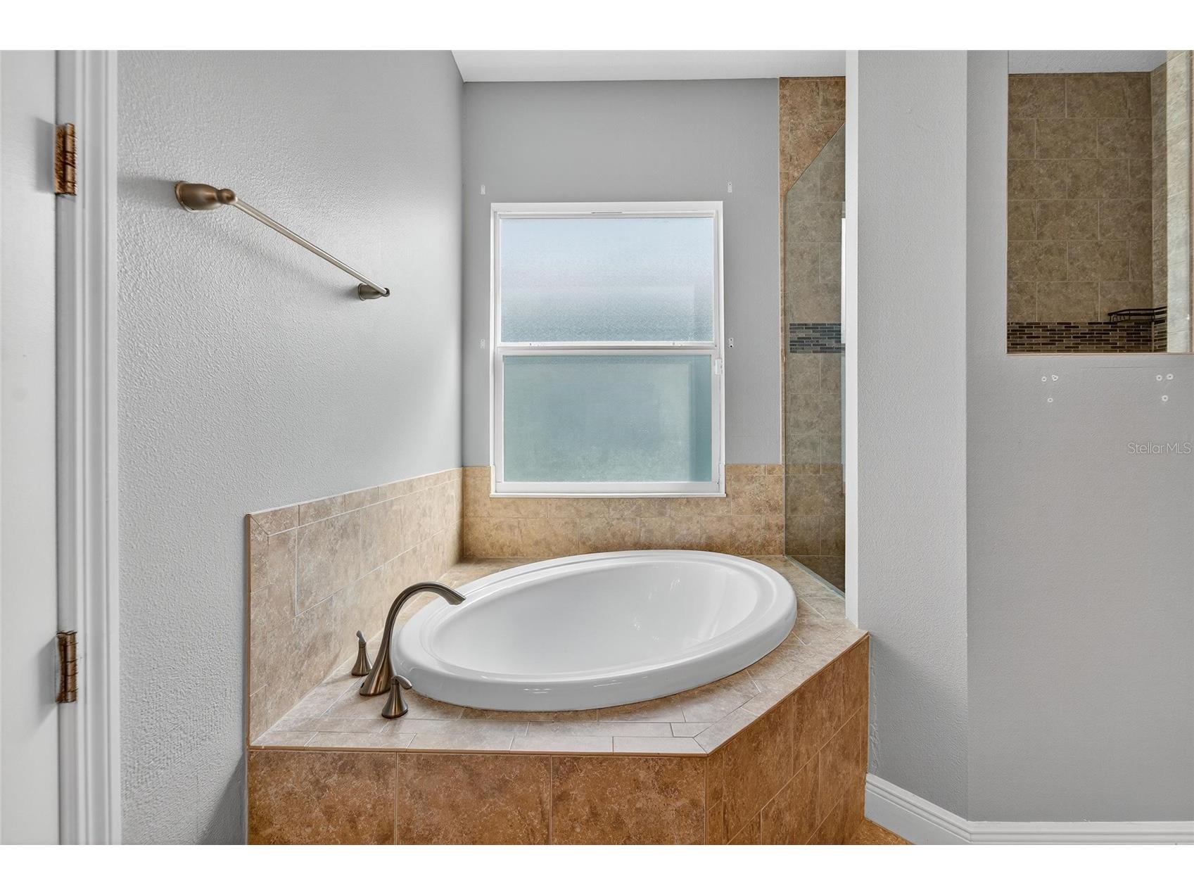 565 Bimini Bay Boulevard Apollo Beach FL 33572 TB8441583 image54