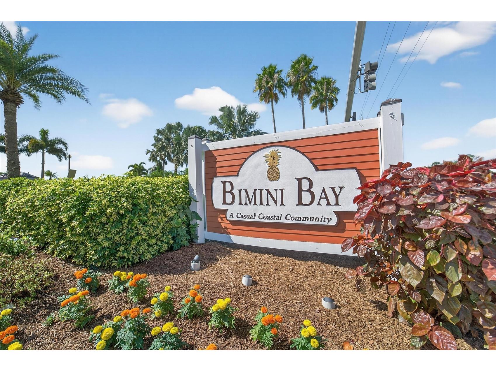 565 Bimini Bay Boulevard Apollo Beach FL 33572 TB8441583 image66