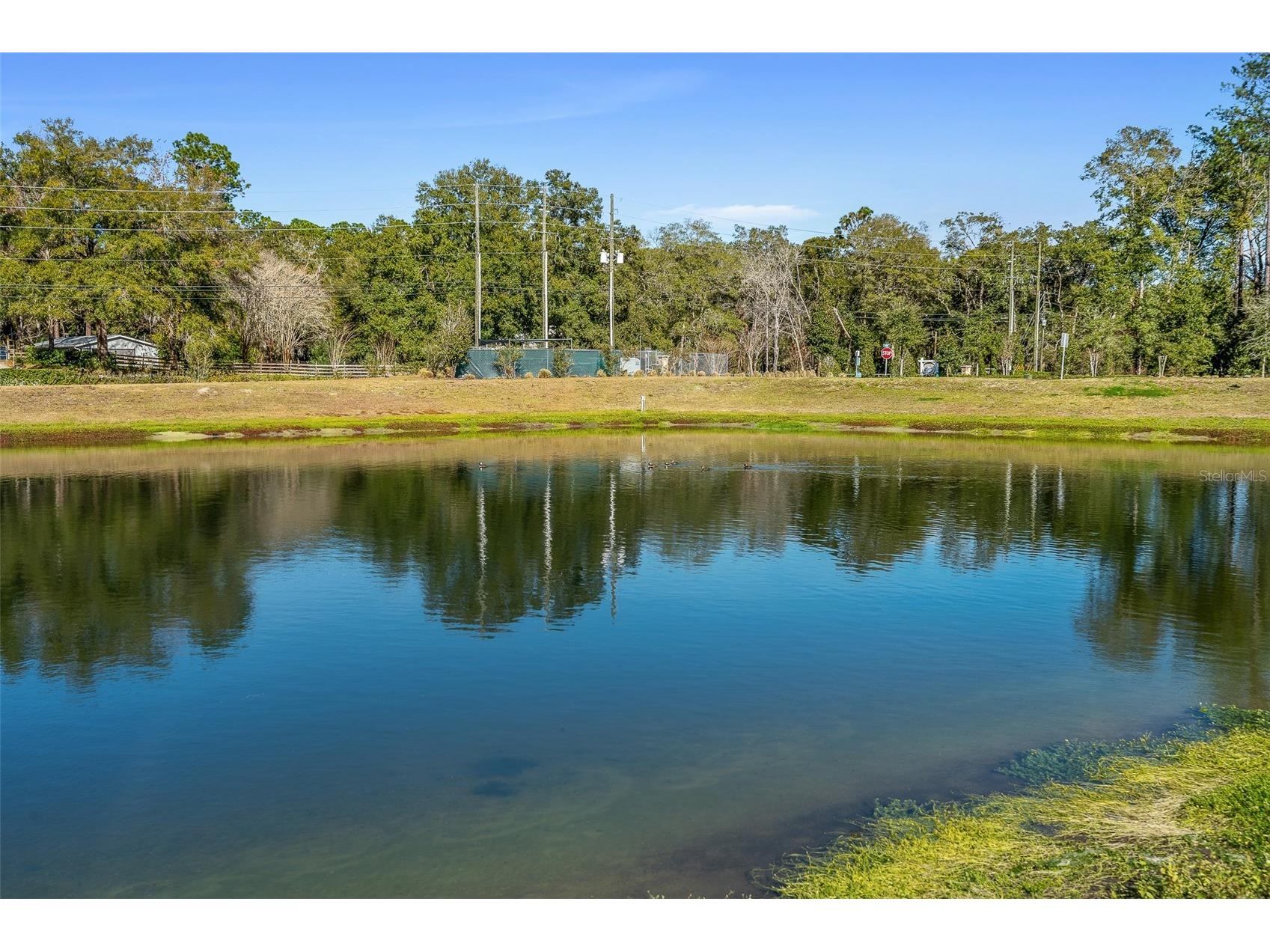 565 Lady Grace Place Deland FL 32724 V4946544 image40