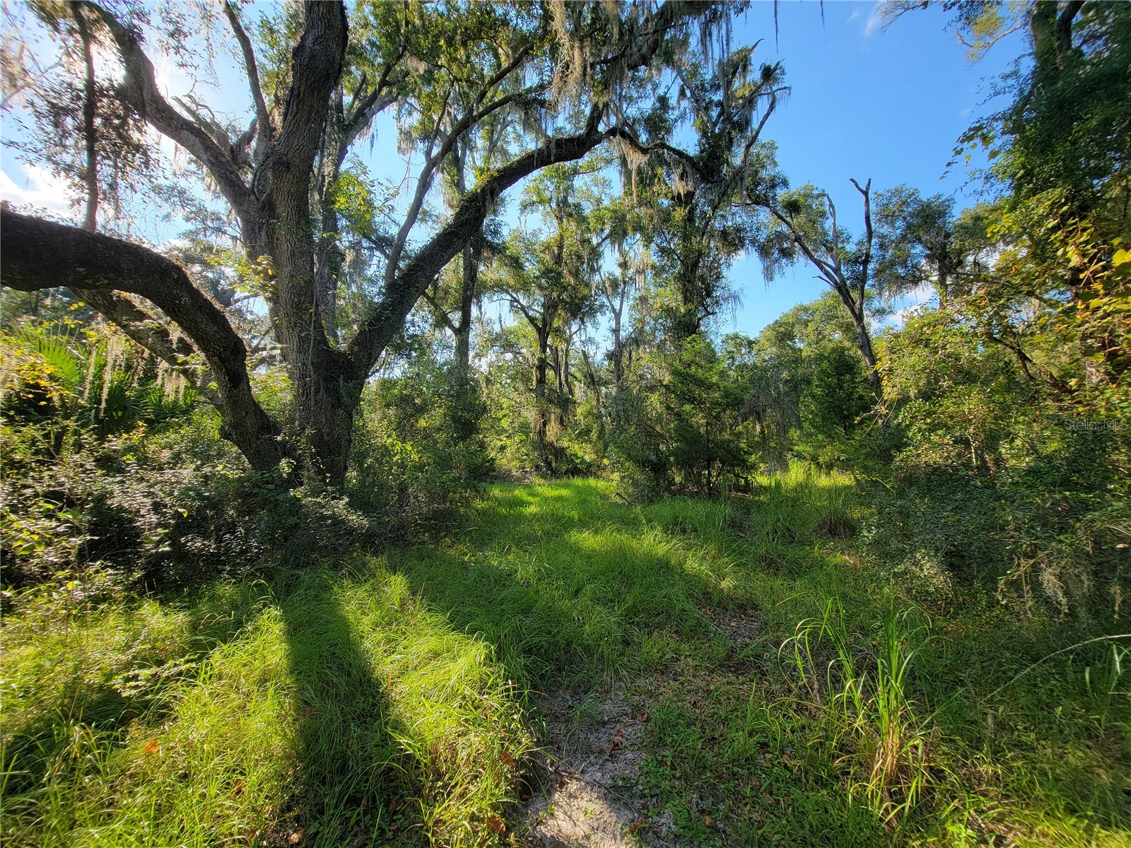 565 NE 833rd Street Old Town FL 32680 OM708231 image1