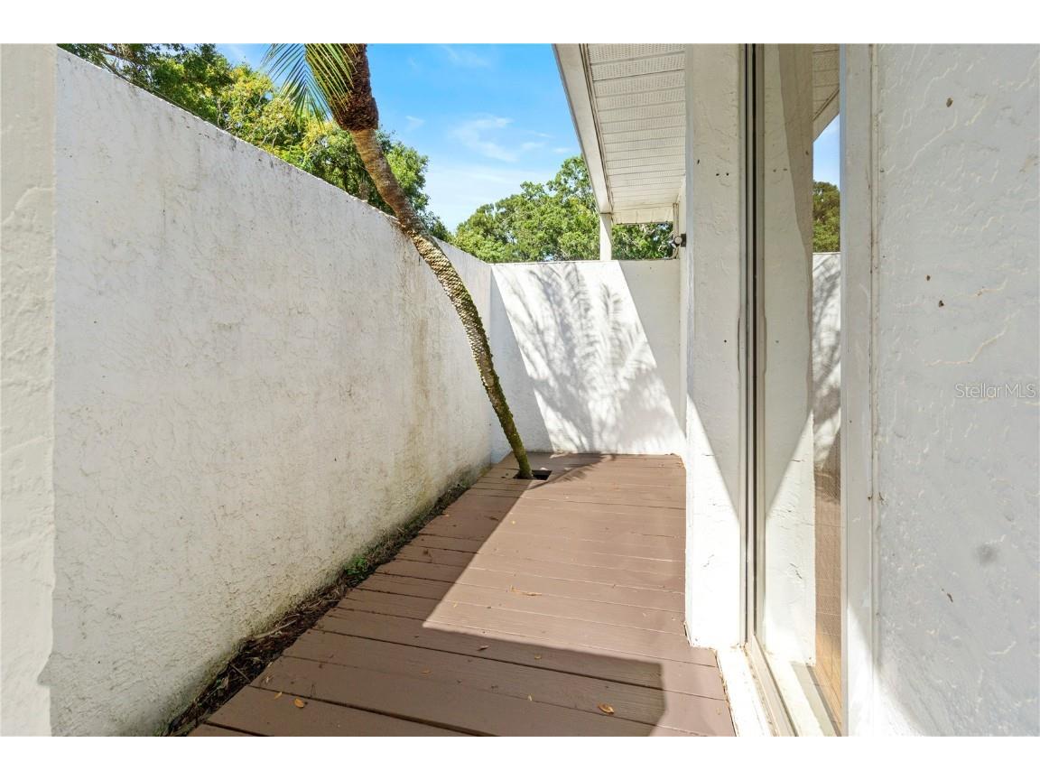 565 Sandy Hook Road Palm Harbor FL 34683 TB8437779 image32