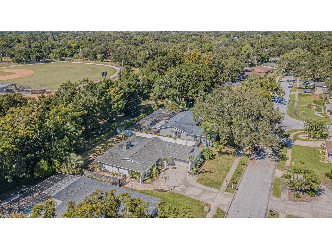 565 Sandy Hook Road Palm Harbor FL 34683 TB8437779 image4