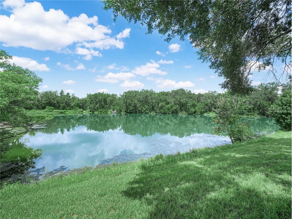 565 Whisper Woods Drive Lakeland FL 33813 P4936967 image13