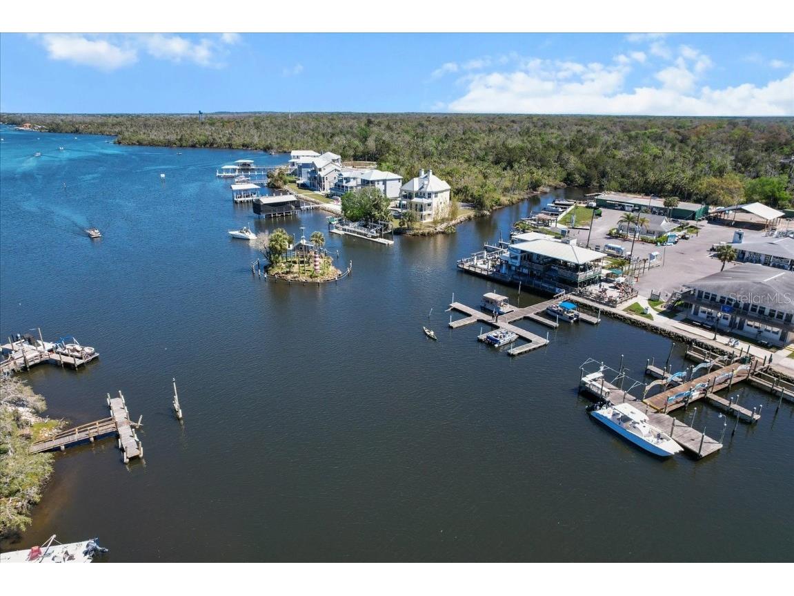 5650 S Mason Creek Road Homosassa FL 34448 OM702256 image41