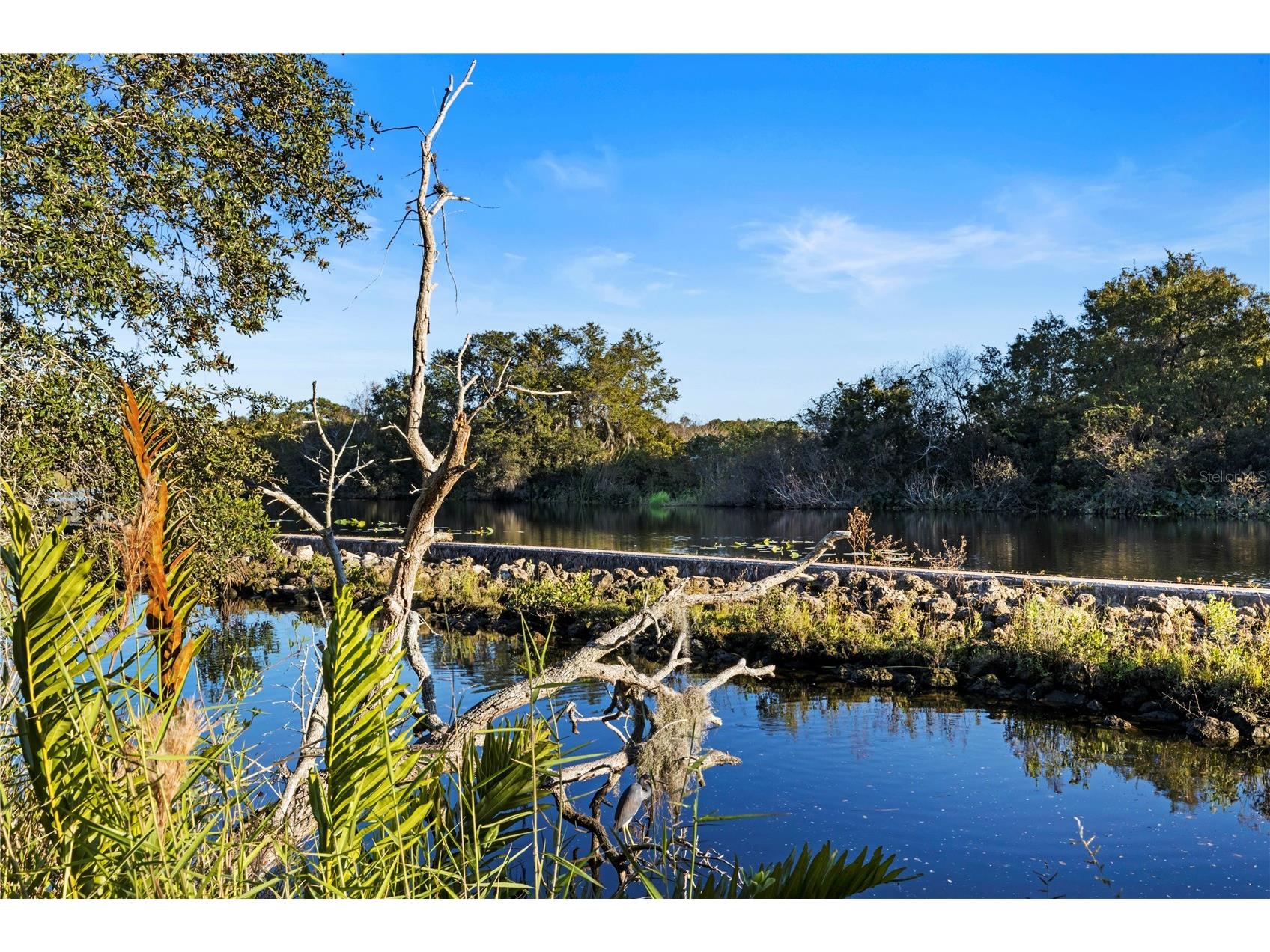 5650 Simonton Street Bradenton FL 34203 A4693907 image66