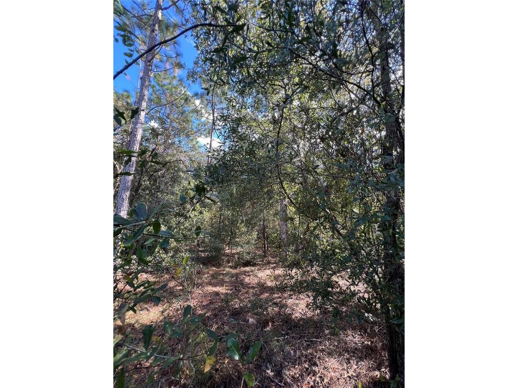 5650 W Kettle Lane Crystal River FL 34429 A4627147 image14