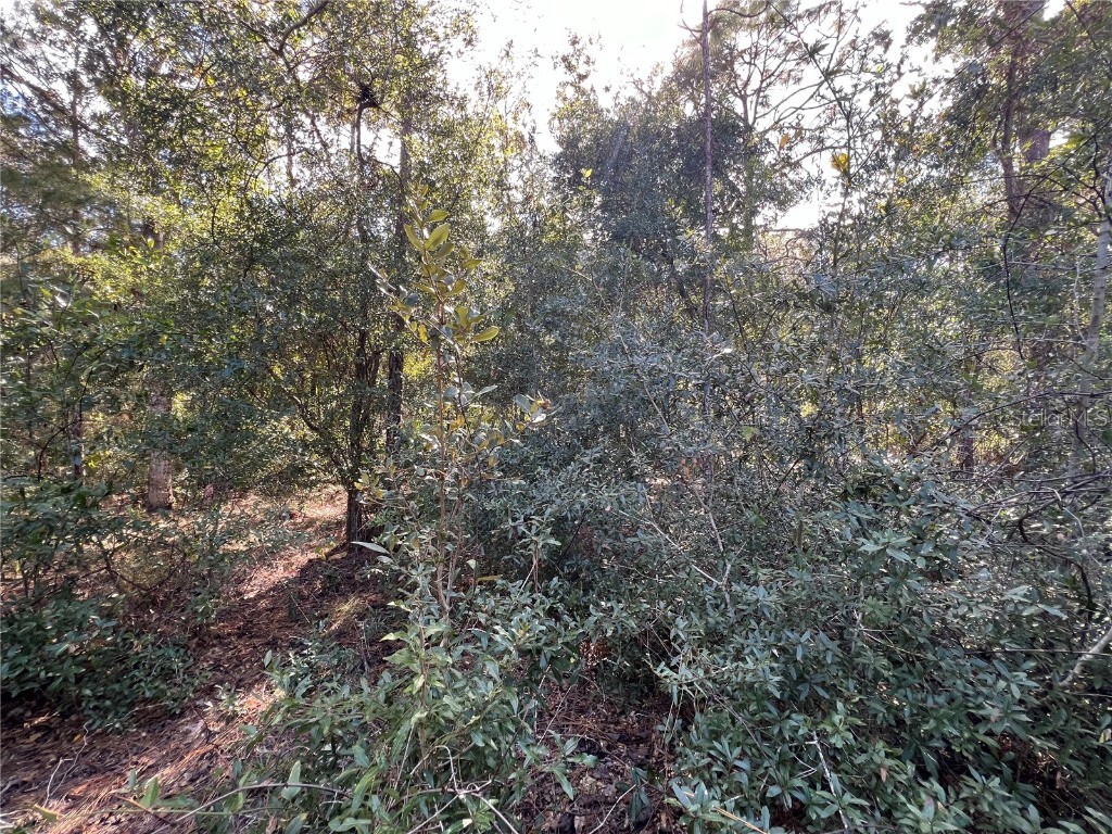 5650 W Kettle Lane Crystal River FL 34429 A4627147 image15