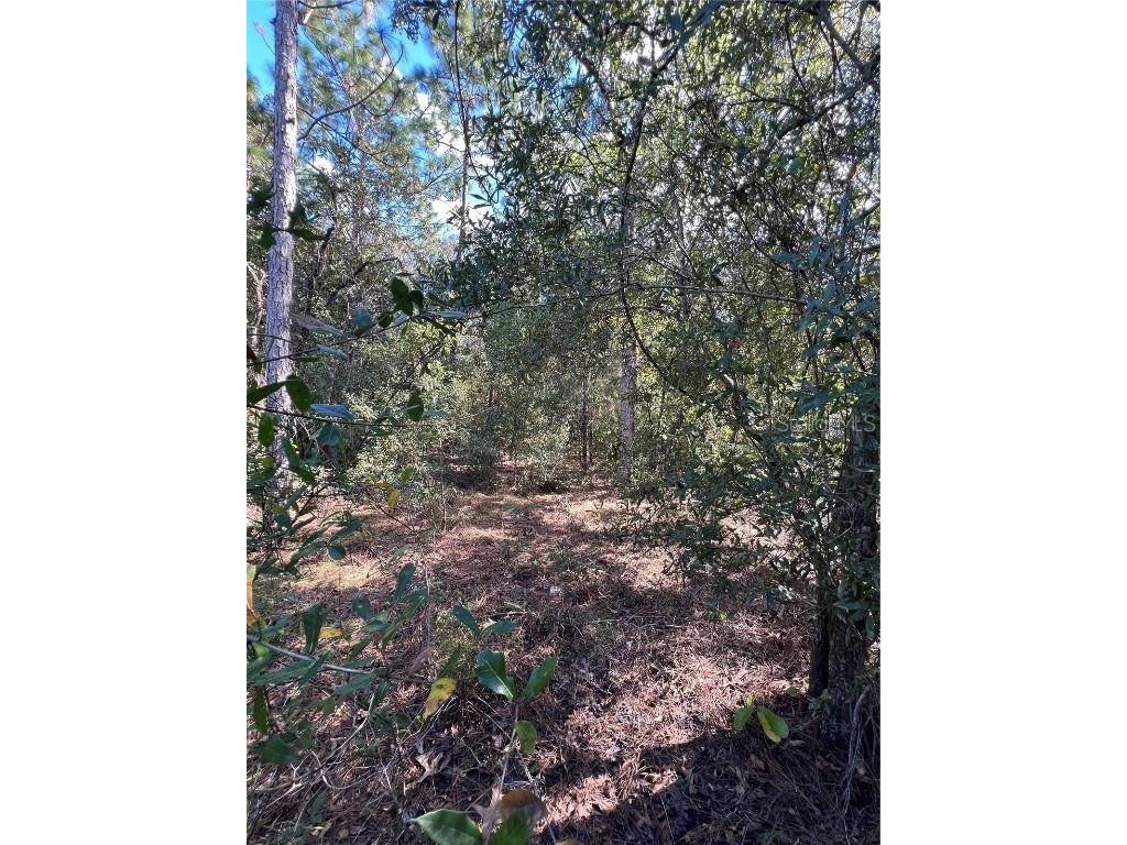 5650 W Kettle Lane Crystal River FL 34429 A4627147 image16