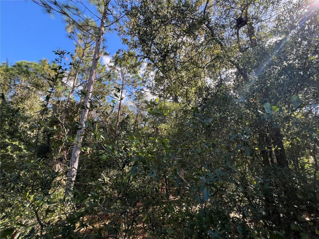 5650 W Kettle Lane Crystal River FL 34429 A4627147 image17