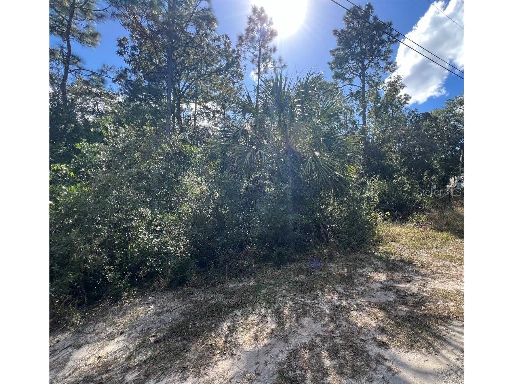 5650 W Kettle Lane Crystal River FL 34429 A4627147 image4