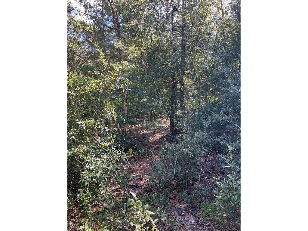 5650 W Kettle Lane Crystal River FL 34429 A4627147 image8