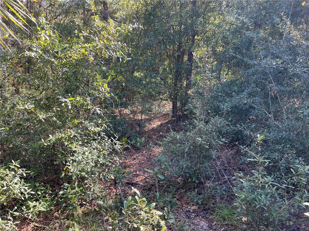 5650 W Kettle Lane Crystal River FL 34429 A4627147 image9