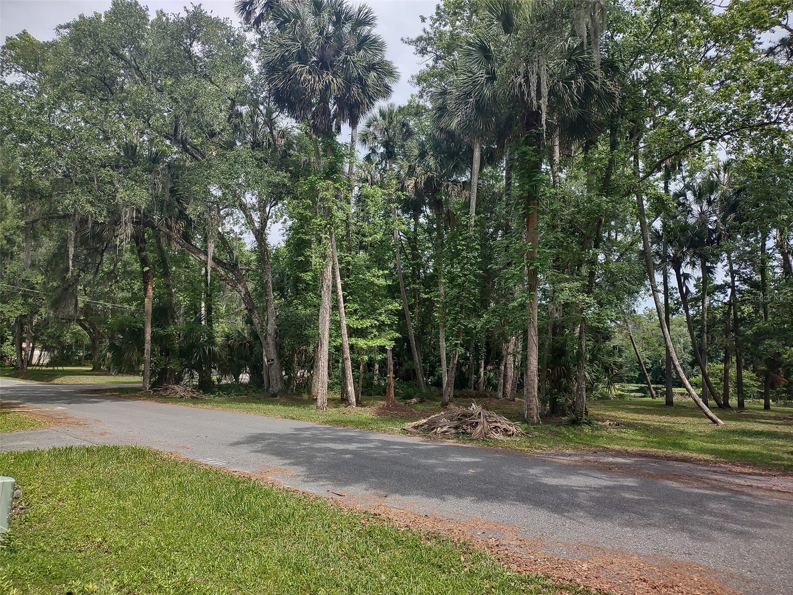 56508 Blue Creek Road Astor FL 32102 - ST. JOHNS RIVER O6403437 image50