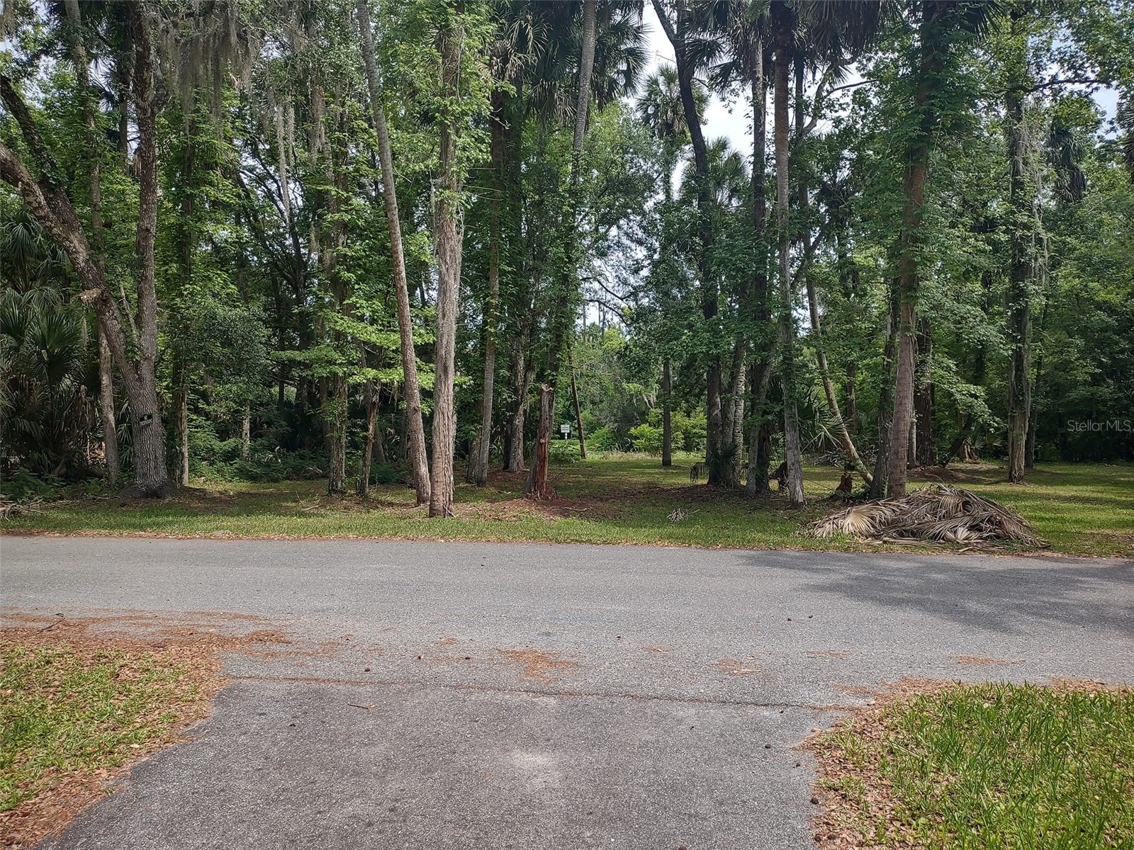 56508 Blue Creek Road Astor FL 32102 - ST. JOHNS RIVER O6403437 image51
