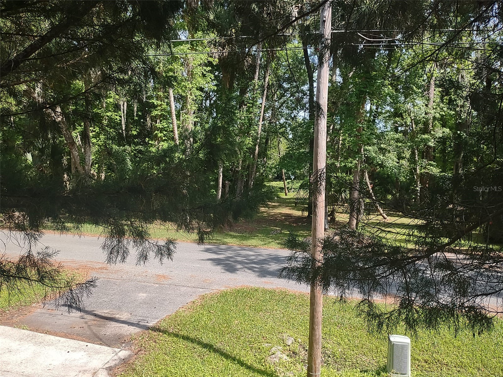 56508 Blue Creek Road Astor FL 32102 - ST. JOHNS RIVER O6403437 image52