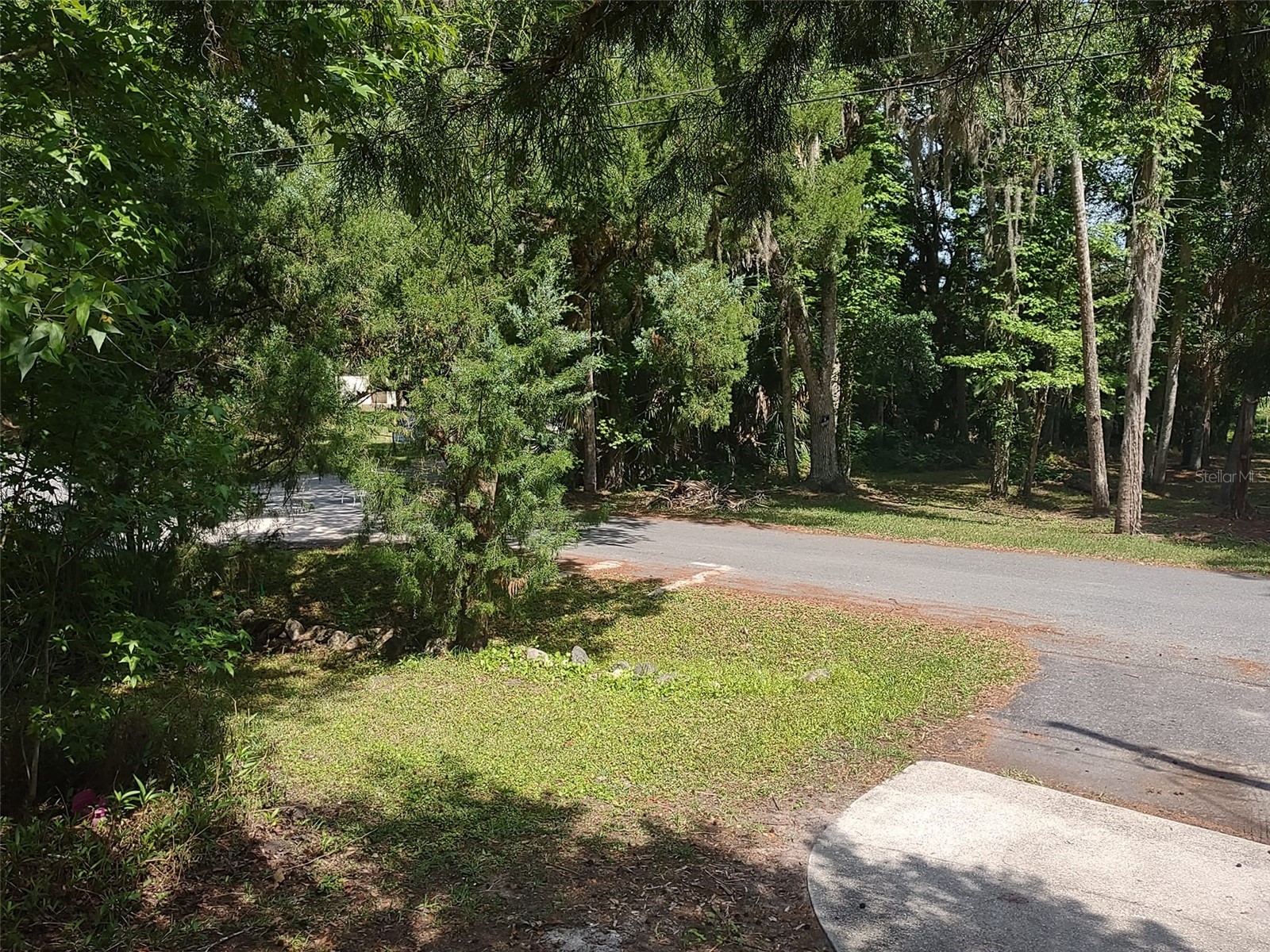 56508 Blue Creek Road Astor FL 32102 - ST. JOHNS RIVER O6403437 image53