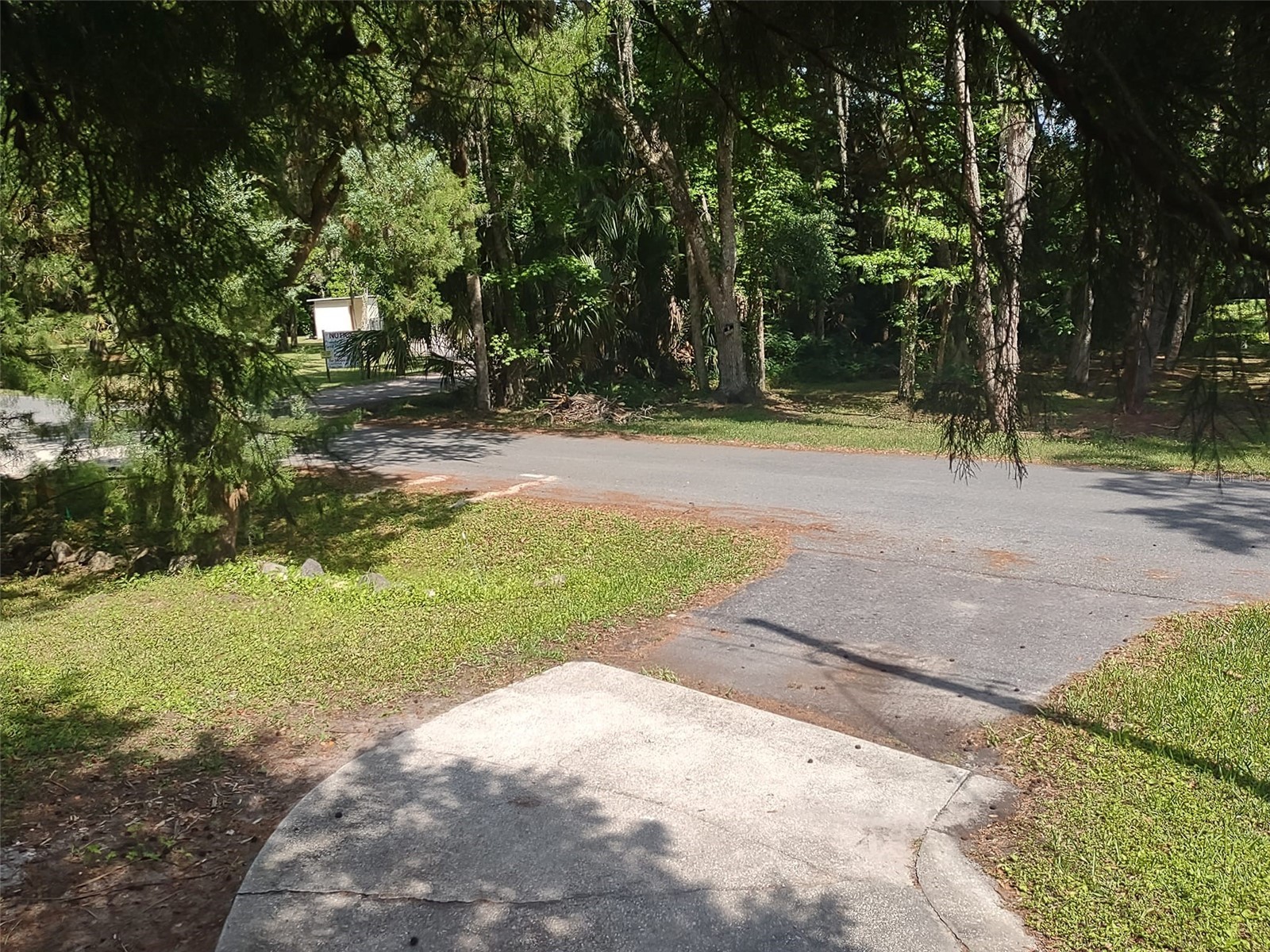 56508 Blue Creek Road Astor FL 32102 - ST. JOHNS RIVER O6403437 image54