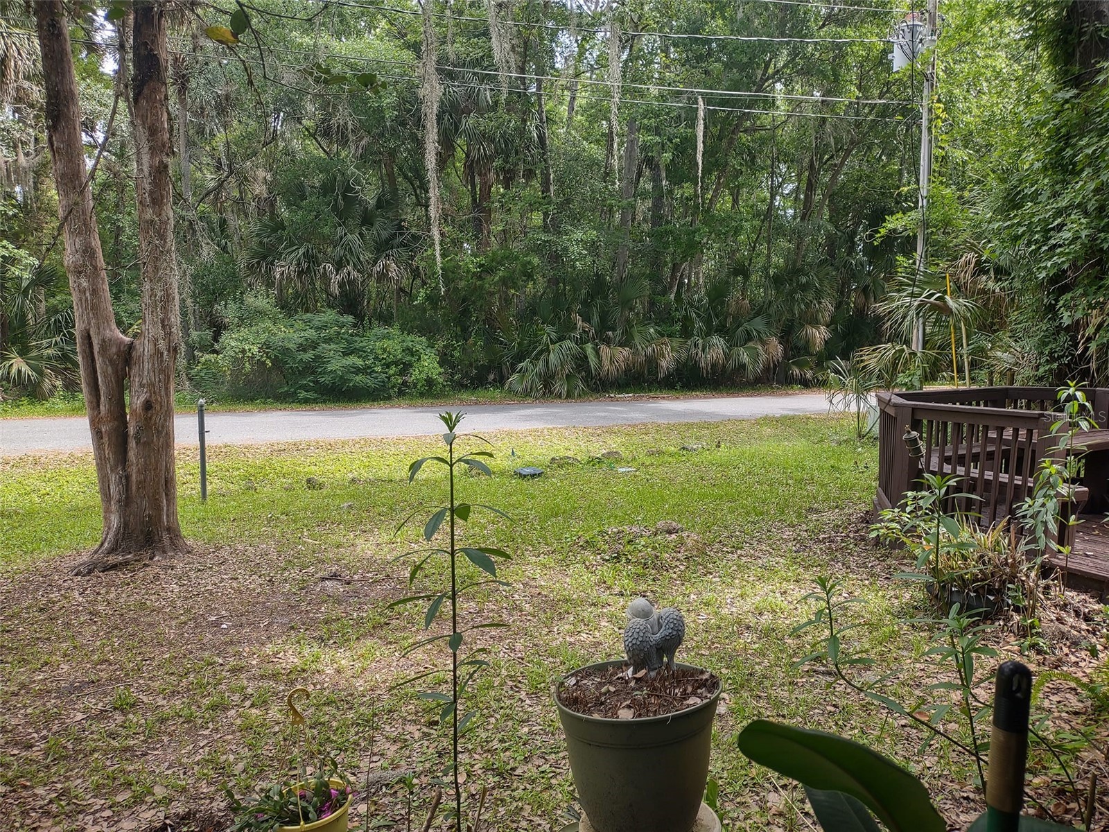 56508 Blue Creek Road Astor FL 32102 - ST. JOHNS RIVER O6403437 image55