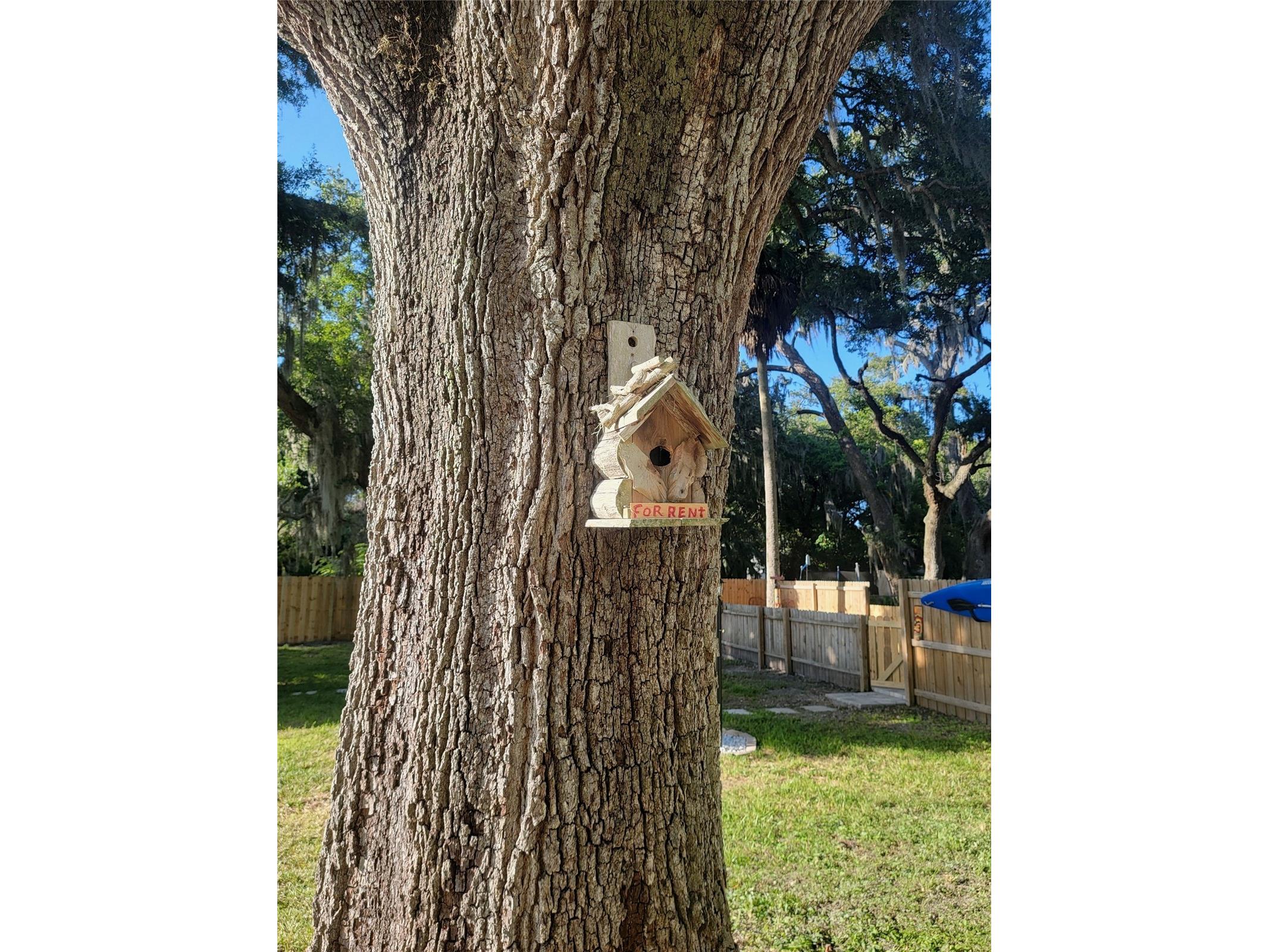 5651 Orange Grove Avenue New Port Richey FL 34652 W7886946 image35