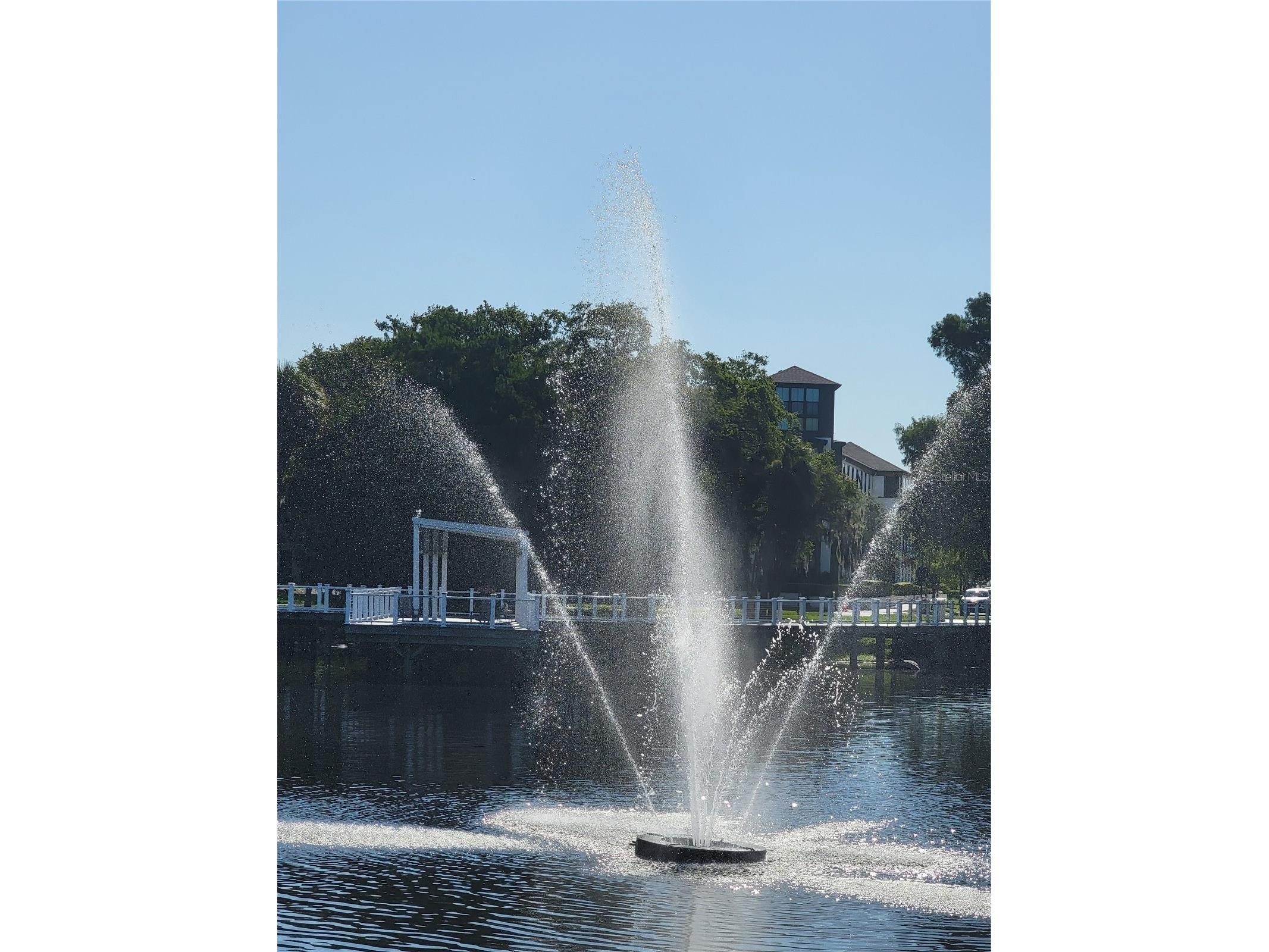 5651 Orange Grove Avenue New Port Richey FL 34652 W7886946 image38