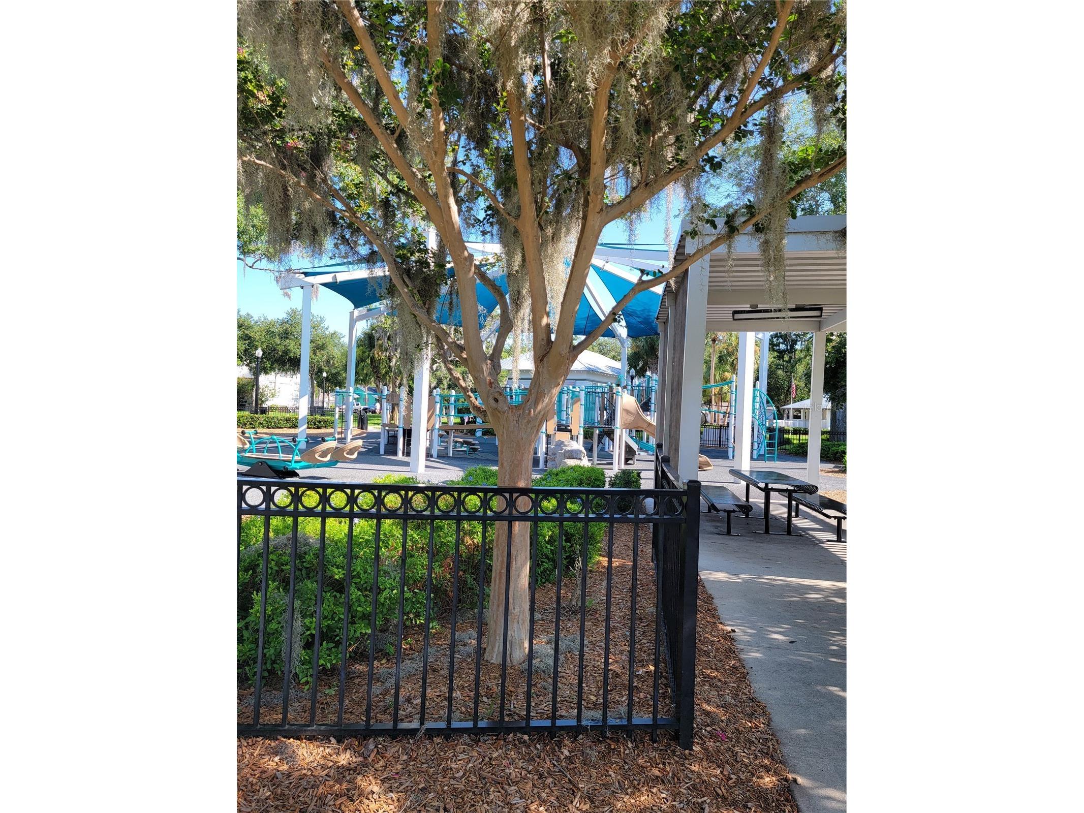 5651 Orange Grove Avenue New Port Richey FL 34652 W7886946 image40