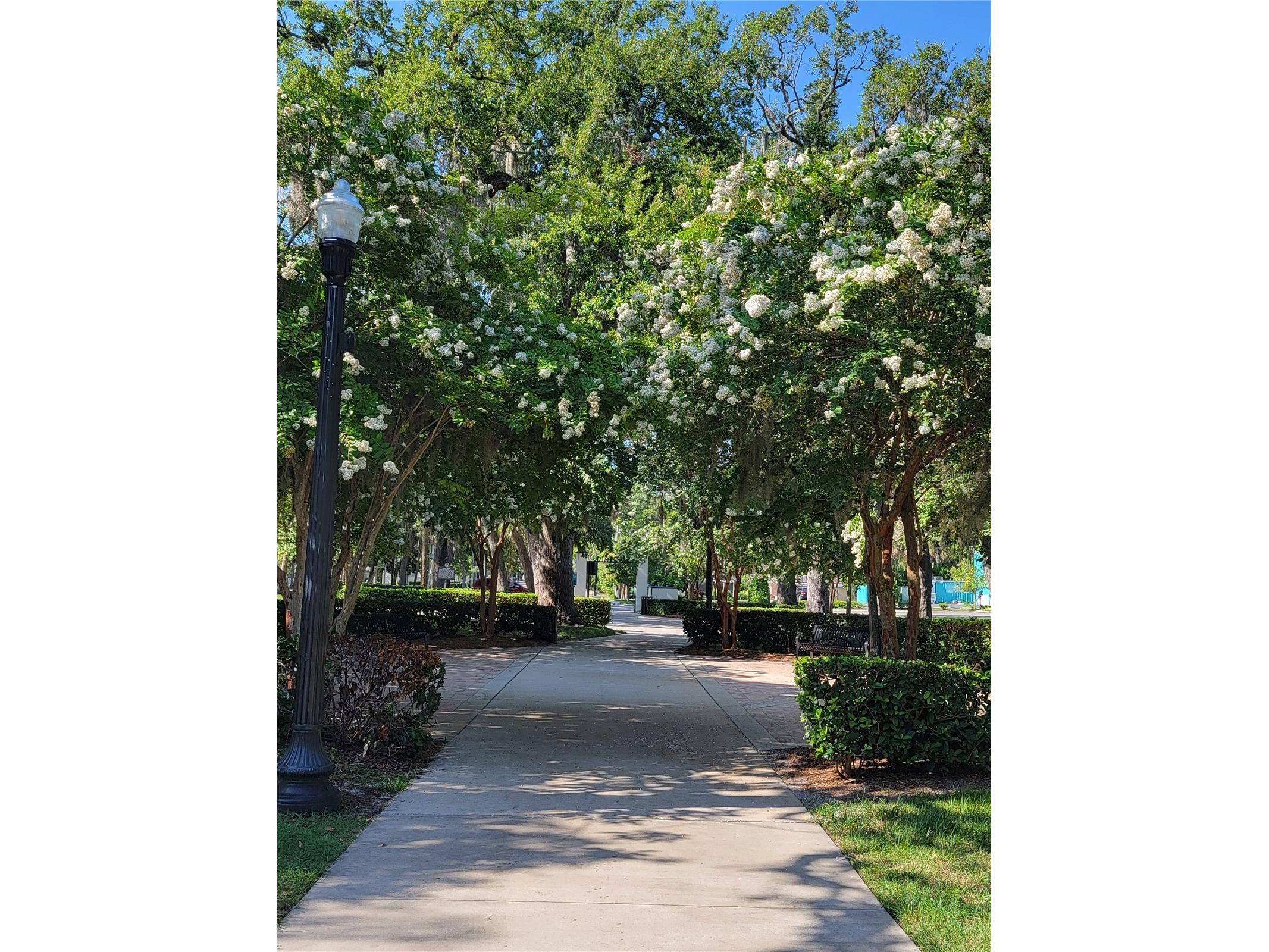 5651 Orange Grove Avenue New Port Richey FL 34652 W7886946 image48
