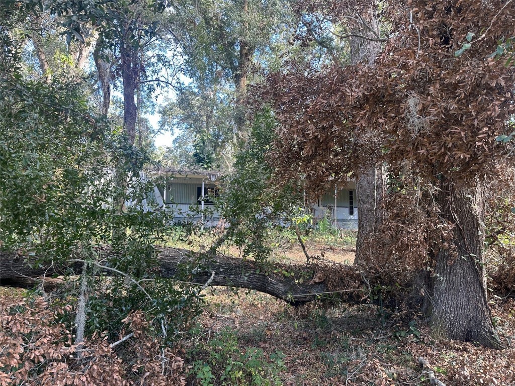 5651 SE 33rd Court Ocala FL 34480 OM690712 image1