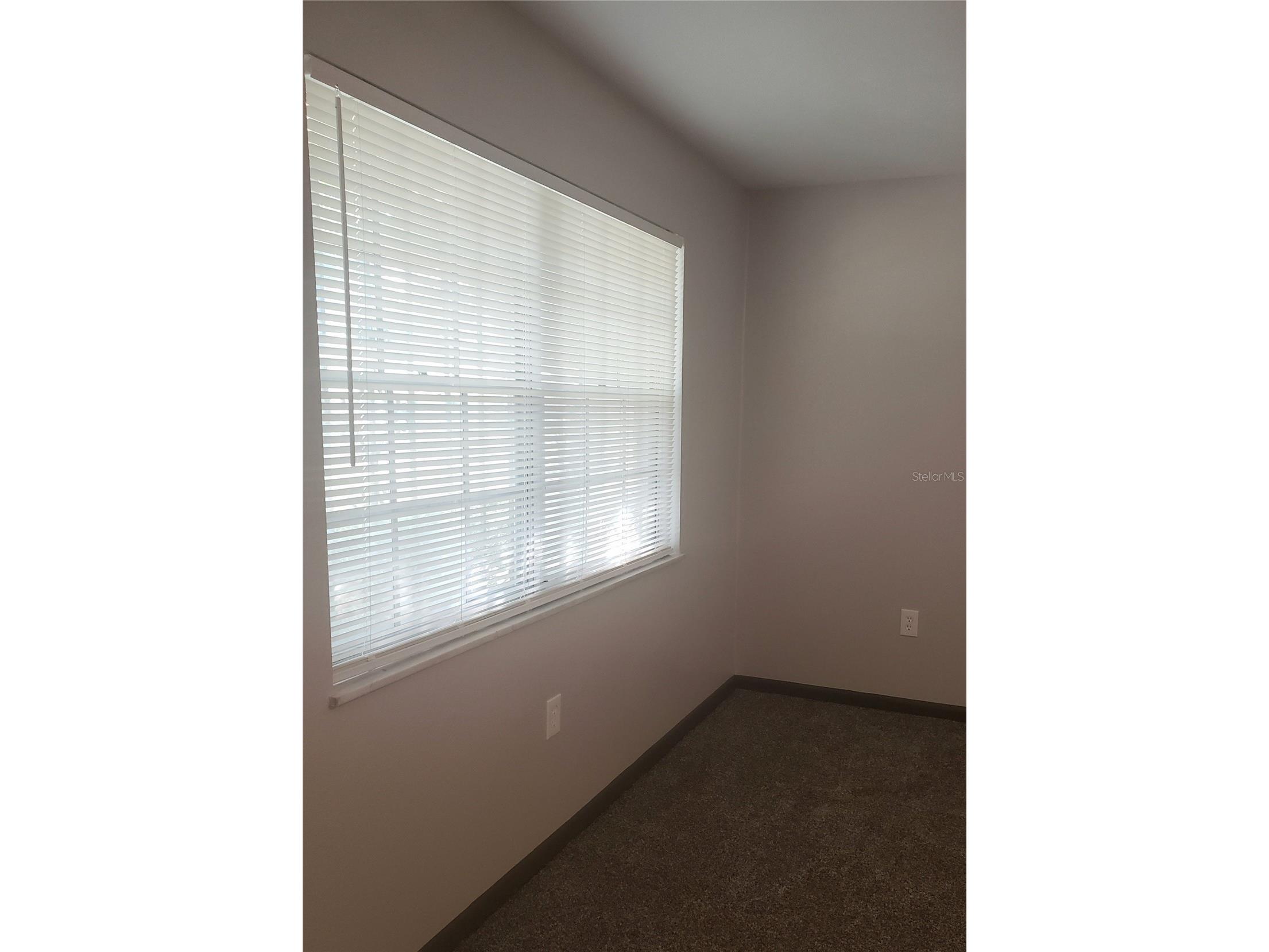 5652 18th Street Zephyrhills FL 33542 TB8482063 image3