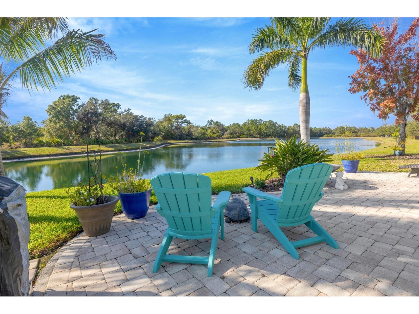 5652 Fisher Glen Loop Wesley Chapel FL 33545 TB8523230 image39