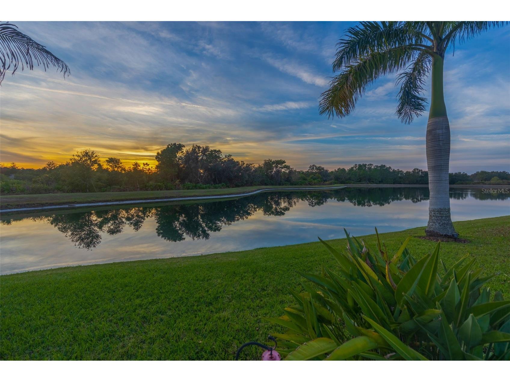 5652 Fisher Glen Loop Wesley Chapel FL 33545 TB8523230 image5