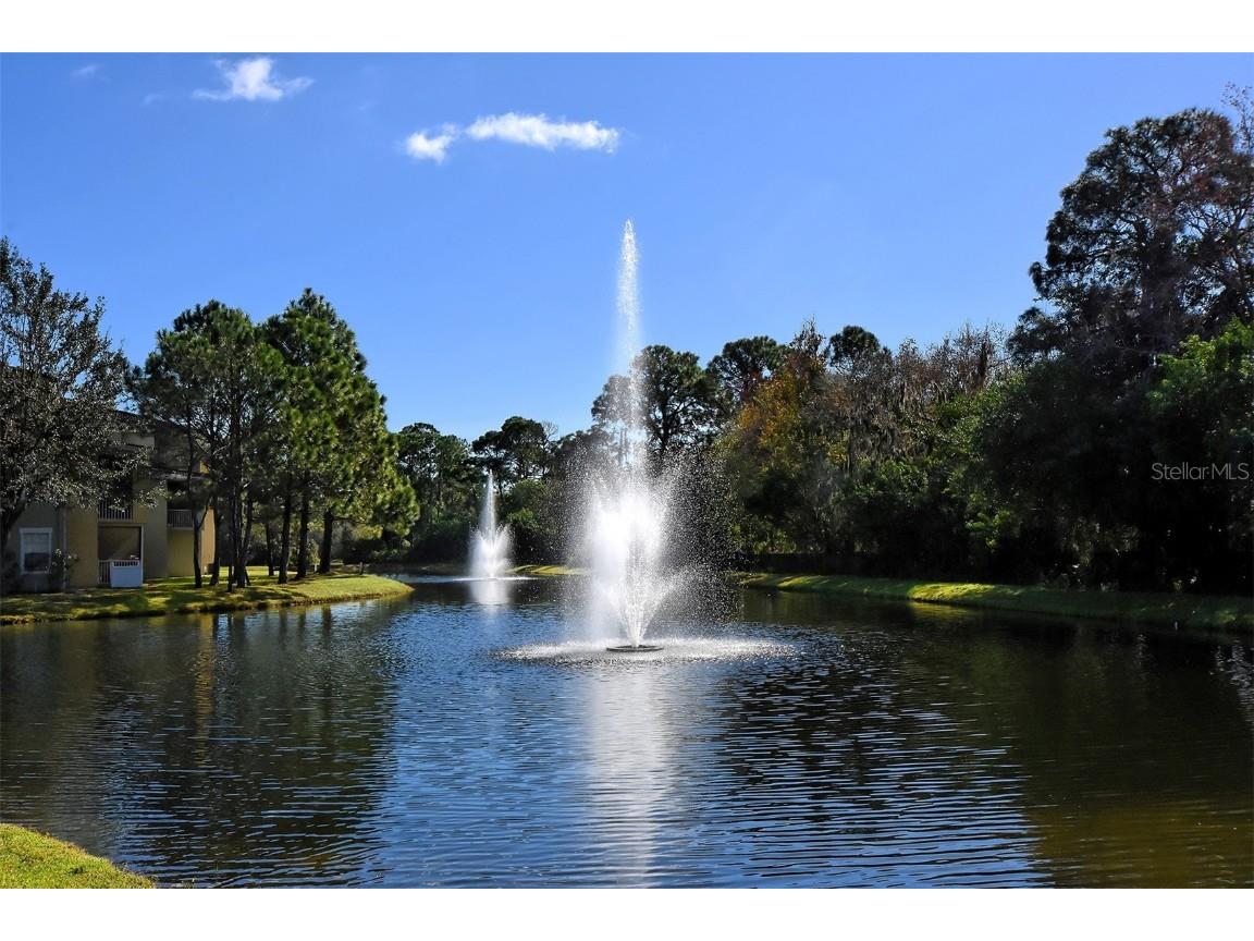 5655 Bentgrass Drive #9-114 Sarasota FL 34235 A4662097 image71