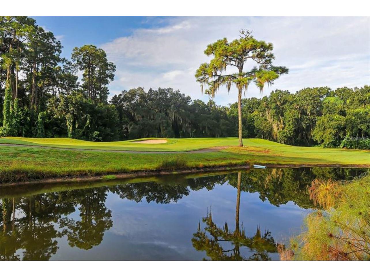 5655 Sheffield Greene Circle #61 Sarasota FL 34235 A4691256 image32