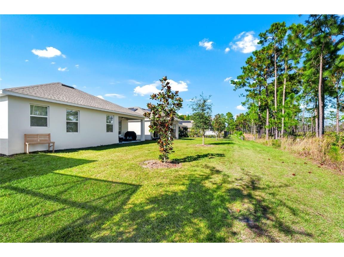 5656 Quiet Palm Loop Saint Cloud FL 34771 O6366145 image29