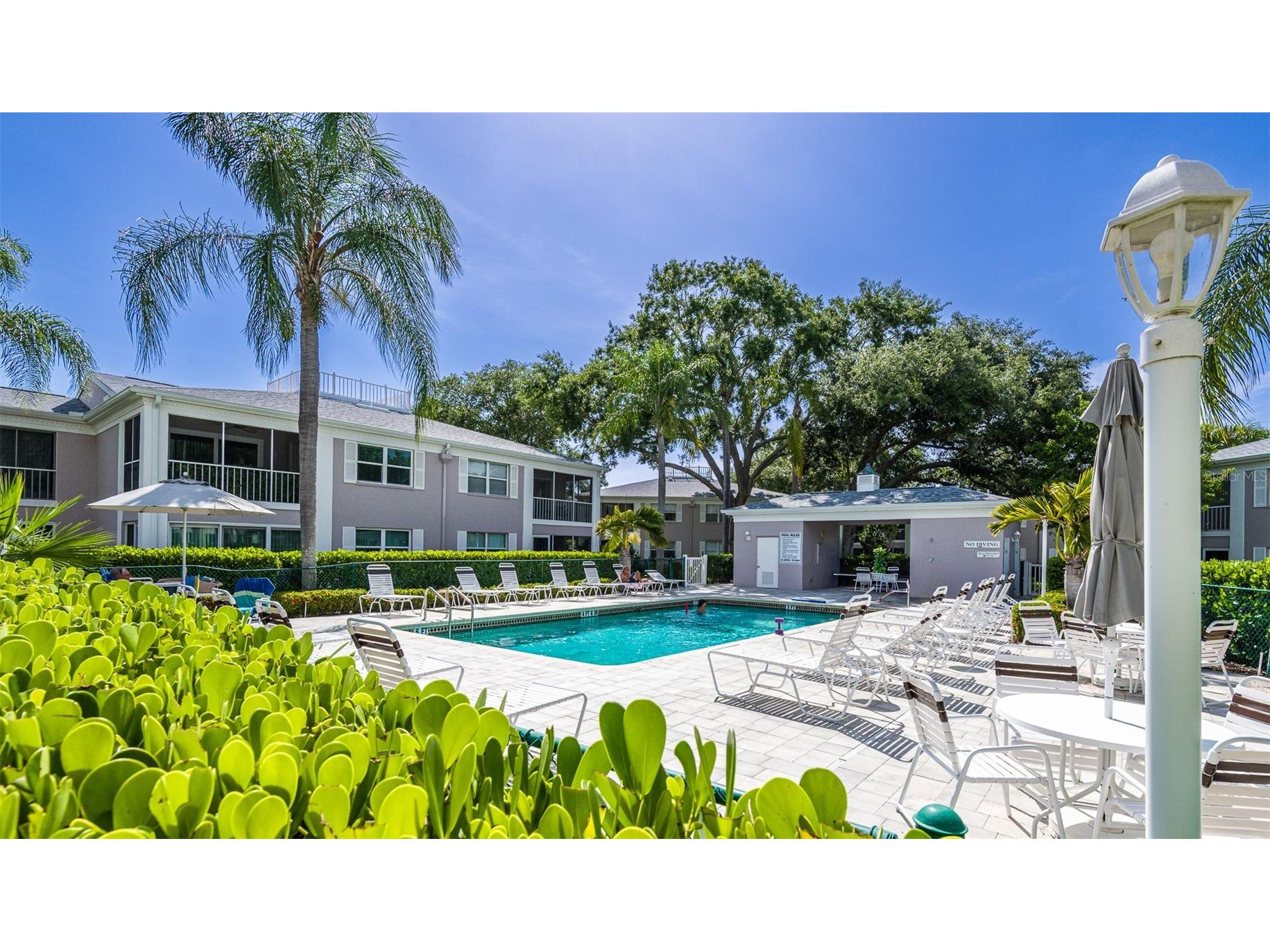 5658 Sheffield Greene Circle #66-17 Sarasota FL 34235 A4694809 image19