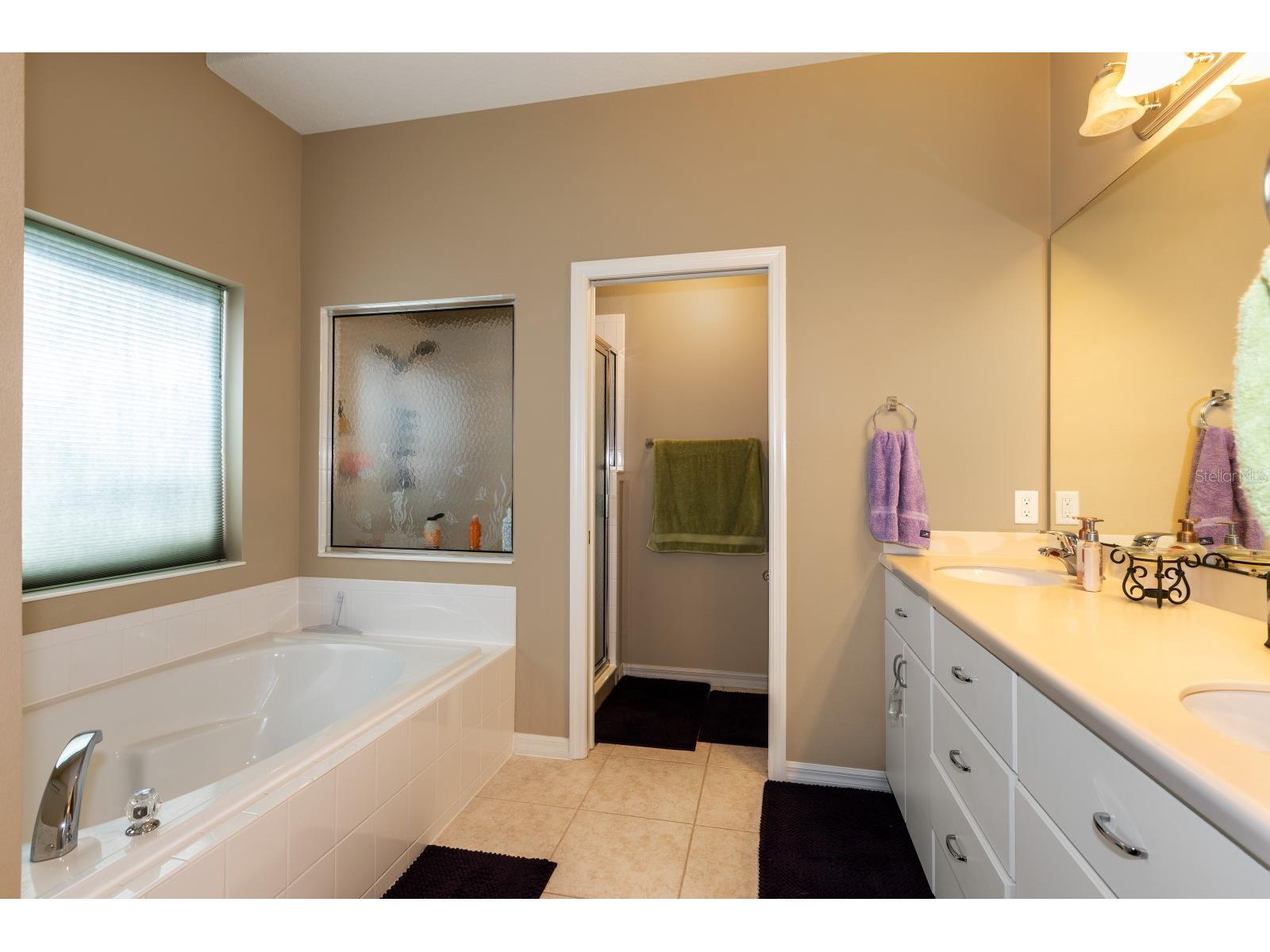 5659 Celebration Way Leesburg FL 34748 G5110968 image10