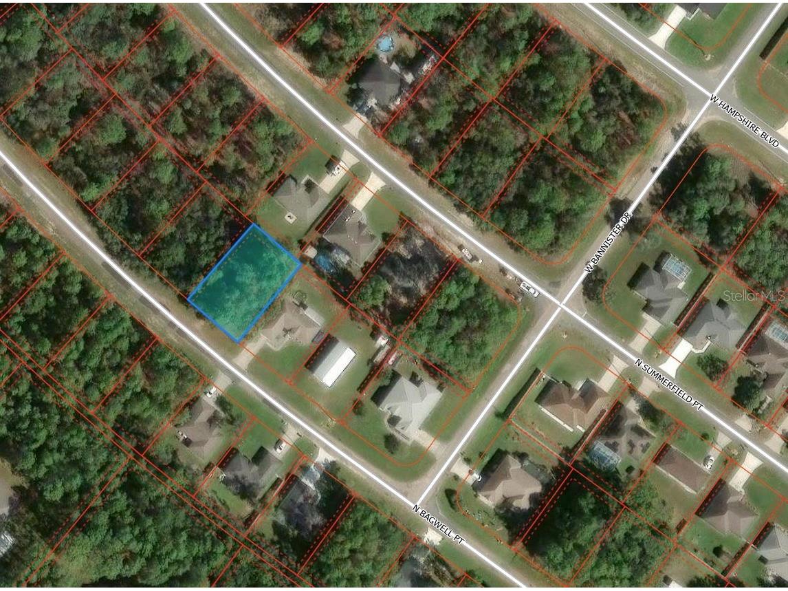 5659 N Bagwell Point Citrus Springs FL 34434 TB8520673 image1