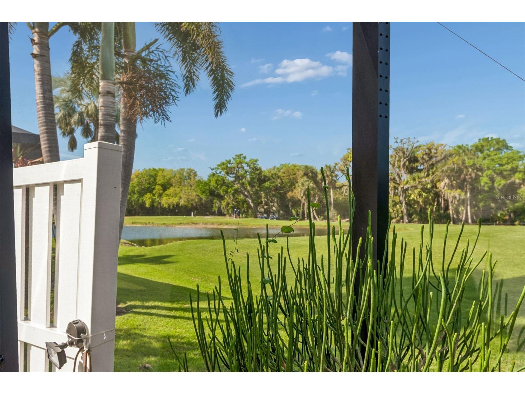 566 Planters Manor Way Bradenton FL 34212 A4686834 image53