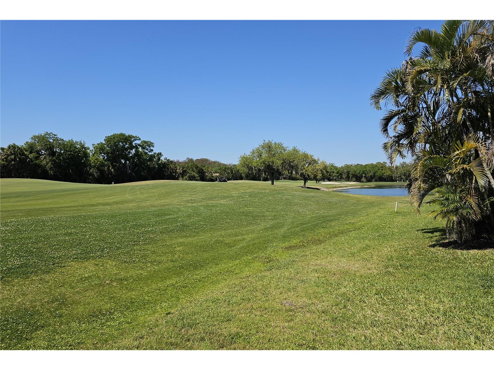 566 Planters Manor Way Bradenton FL 34212 A4686834 image66